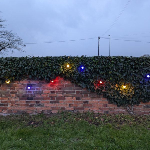 Hire Colourful Outdoor Festoon. Colourful, modular festoon (high density - 0.5m bulb spacing) in 10m lengths, colour options, connectable up to 100m.