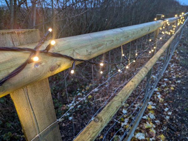 Ultra Bright Warm White Outdoor Fairy Lights - Image 2