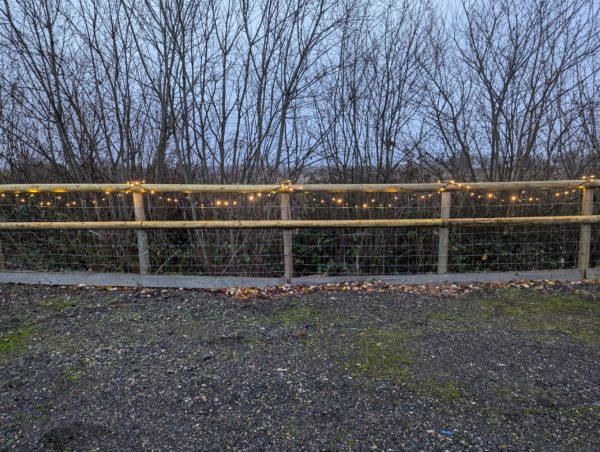 Ultra Bright Warm White Outdoor Fairy Lights - Image 4